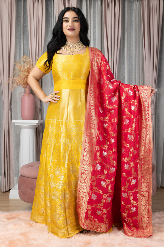 Party Wear Anarkali Dress