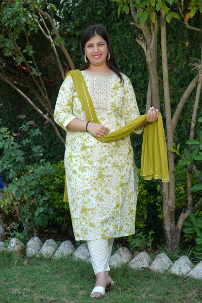 Olive Whisper Cotton Suit Set