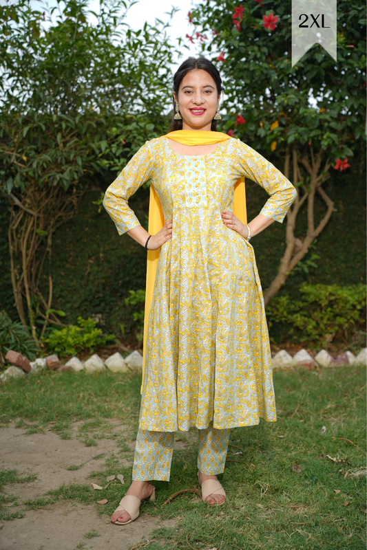 Serene Yellow Bagh Anarkali Set