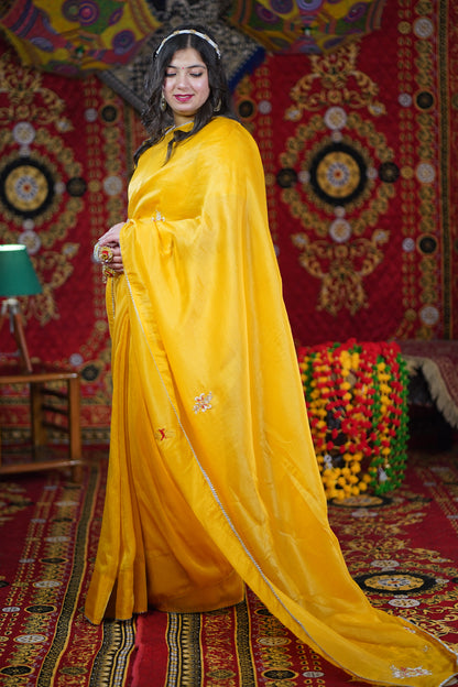 Sunehri Aabha Handcrafted Tissue Saree